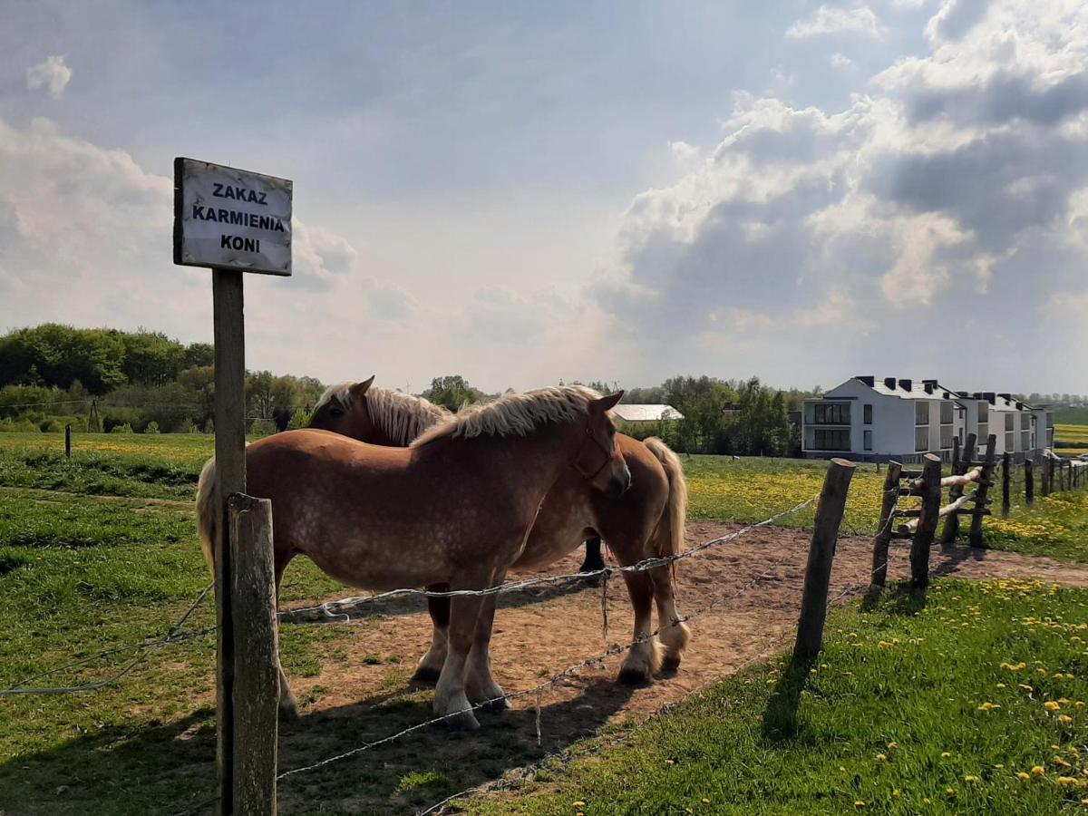 Apartament Soleado - Słoneczne Apartamenty, Ustronie Morskie Zewnętrze zdjęcie